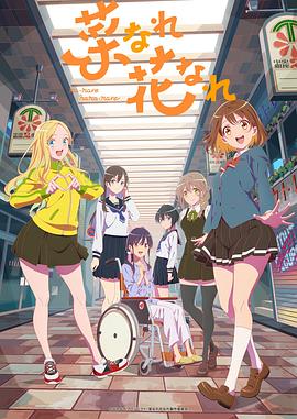 开封seo优化厂家